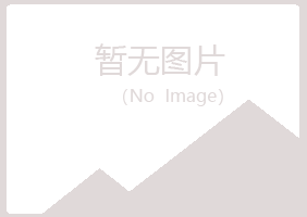 兴山区紫槐化学有限公司